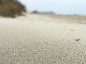 Osteopathie Praxis in Bietigheim