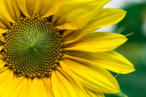 Heilpraktikerin Bietigheim-Bissingen